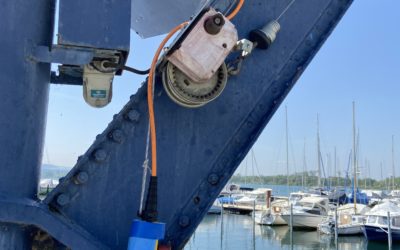 La grue, encore et toujours…
